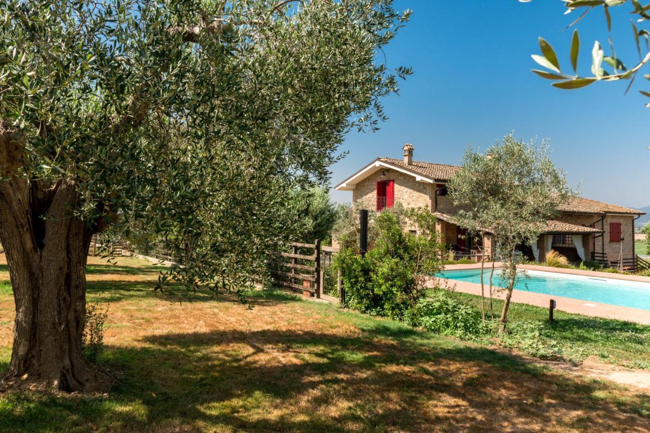 Bed and Breakfast Il Barbagianni Montepescali Exteriér fotografie